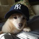 mikeyyyyontop avatar