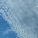 hyrulelink1986 avatar