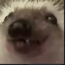 ohthethrillofthedoublelife avatar