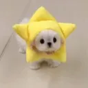 banana_joelikesbananas