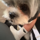 inviting_lamb_20091's Avatar