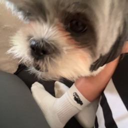 inviting_lamb_20091's Avatar