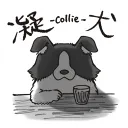shimacollie