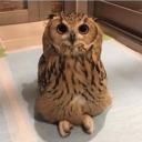 avatar [AMOR] Ich vermisse Fyb 😘