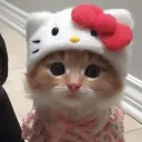 onceinablumoon_50_