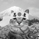 nya_nsa