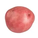 oriluka