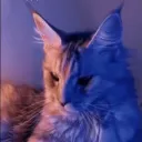 fluscha