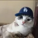 chickenuncola22