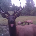 avatar つかつきりお_