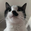 avatar lf lobotomist