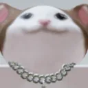 mrfattapig avatar