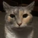 Аватар pirozhok1161_13096