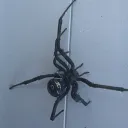 monstert1
