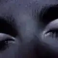 fearisthethug