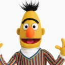 bert_m208