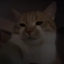 vincementy