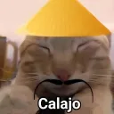 perro_fino8272_71397 avatar