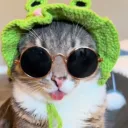 glitched_da_kitty_cat