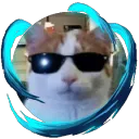payetrlk