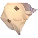 running_clam
