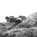 Tiger 1