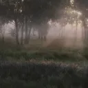 q3_6