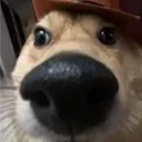 astrav_