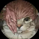 buena_conexion avatar