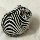 avatar оператор