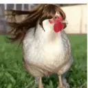 chick3n.vr