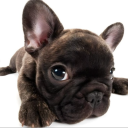 avatar 𝓬𝓱𝓲𝓵𝓮 𝓶𝓸𝓻𝓻𝓸𝓷