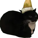daisyhasacat