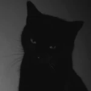 aviantly