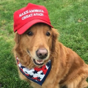 avatar MAGA Retriever