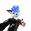 rainfoxsvr