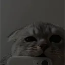 spxcebtw