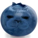only_blueberry.