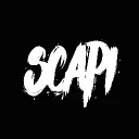 scapi324_41305