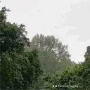 thenameislars