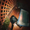 alexander068579 avatar