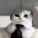 Аватар bssstickers