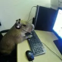 lorenzo101112 avatar