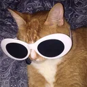 fizzuter
