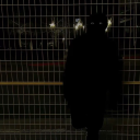 avatar 𝑨𝒓𝒄𝒉𝒂𝒓𝒚 ✨