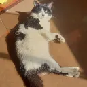 adrielxd12366 avatar