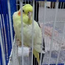 danarsaad12345
