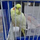 danarsaad12345