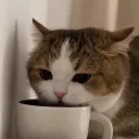 hiku_3