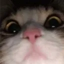 sant12345667778 avatar